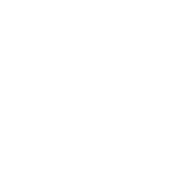 icon asset database